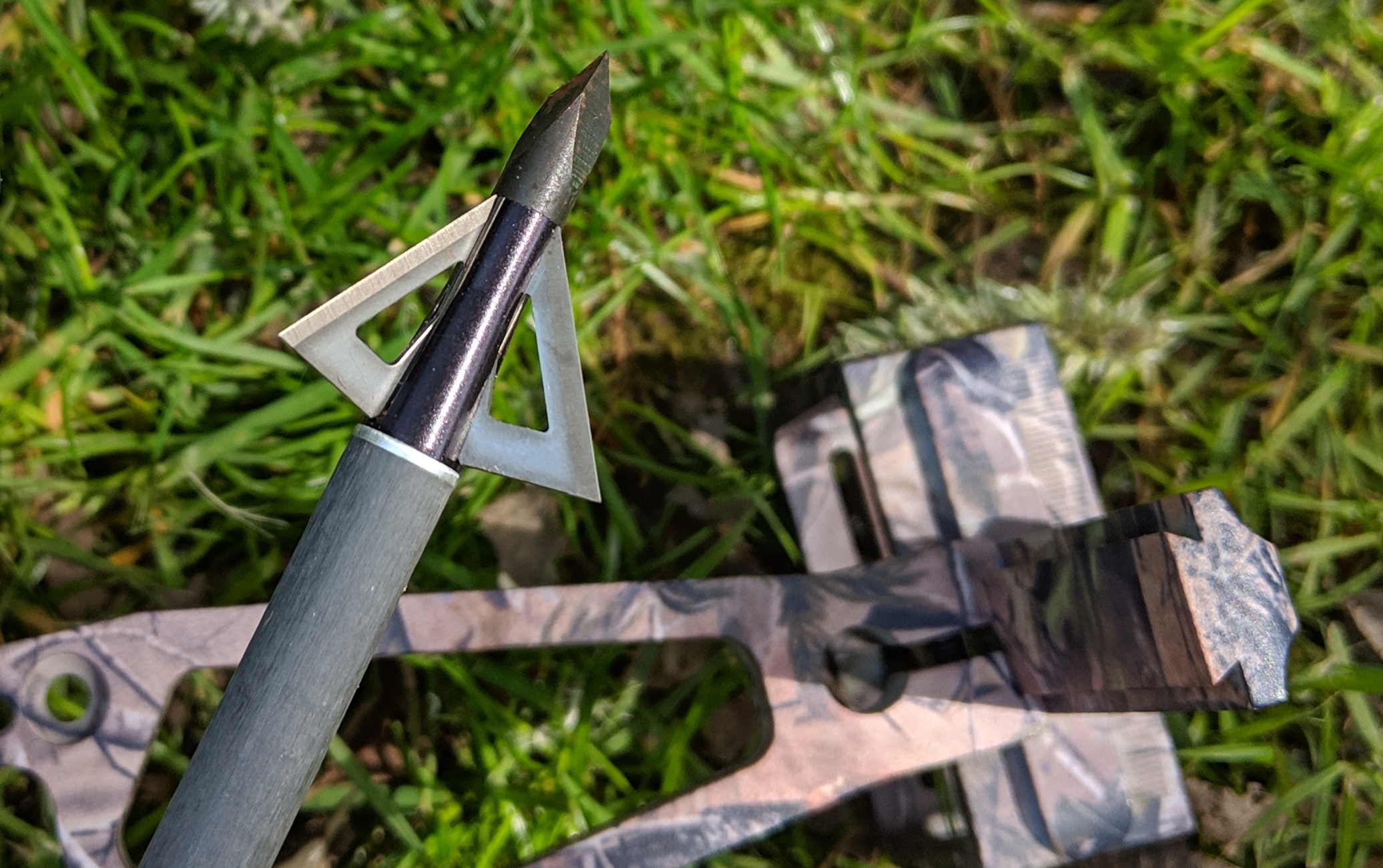 Weiterbildung zum Bogenjäger vom DBJV - eine moderne Jagdspitze Pürfungsfragen für die Weiterbildung zum Bogenjäger nach IBEP vom Deutschen Bogenjagdverband