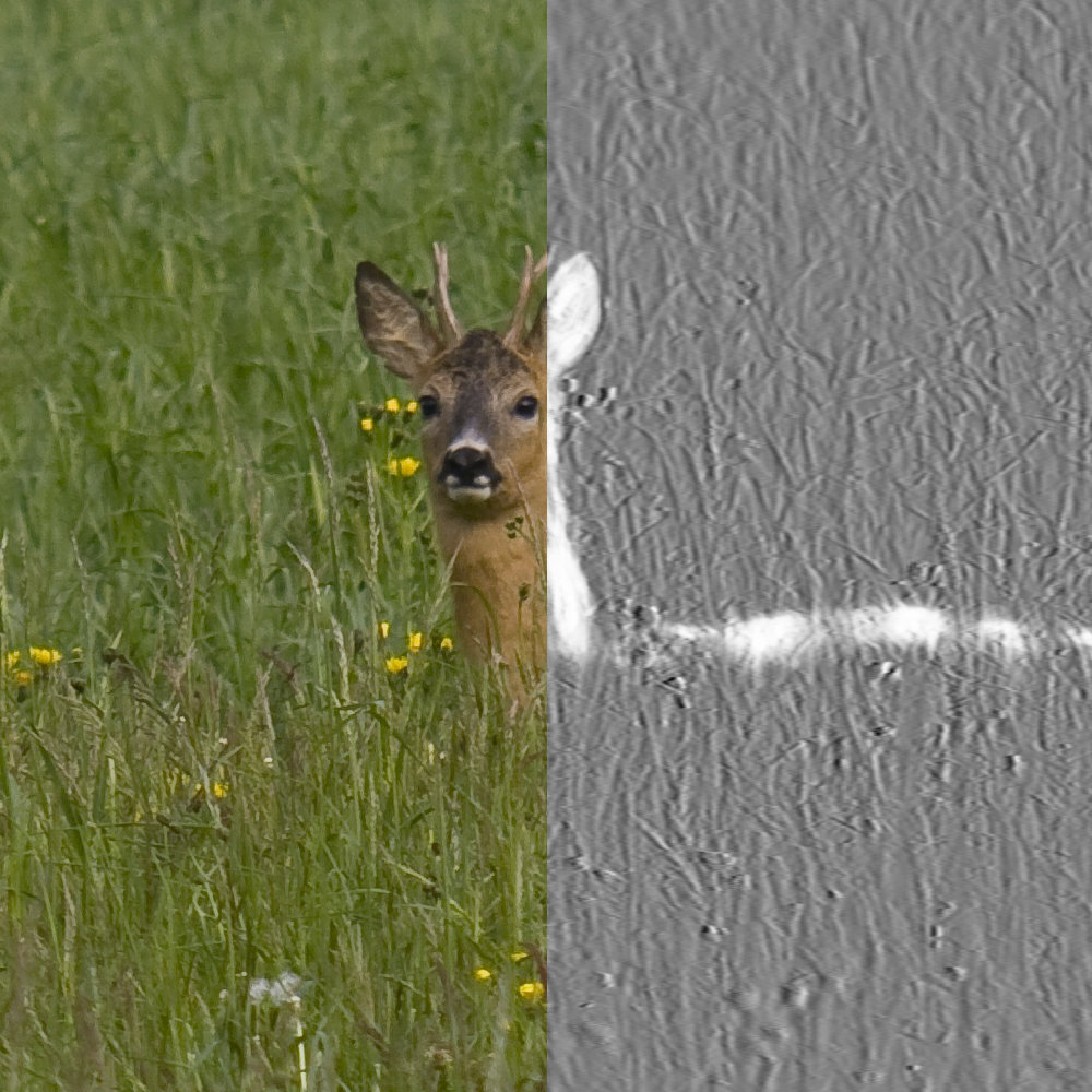 Wärmebildkamera in der Jagdpraxis - das Bestätigen von Wild mit Wärmebildtechnik am Tag