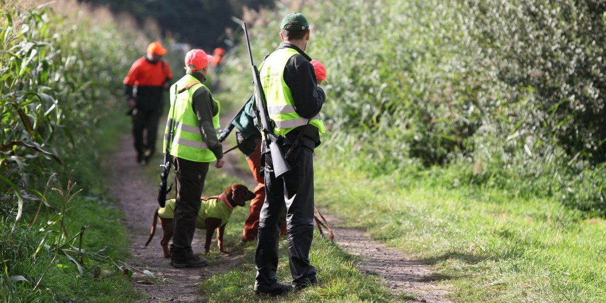 Gruenesabitur.de - Prüfungsfragen Jägerprüfung - Info zum Jagdschein